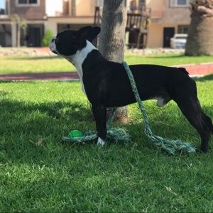 Meet your Posher, Nayeli